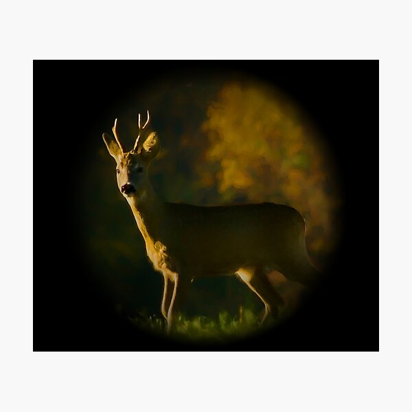Item preview, Roebuck designed and sold by Guardi71.