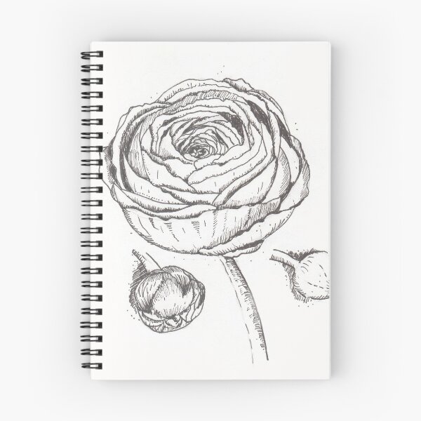 Item preview, The black and white graphic drawing of Ranunculus flower  designed and sold by Bellefotos.