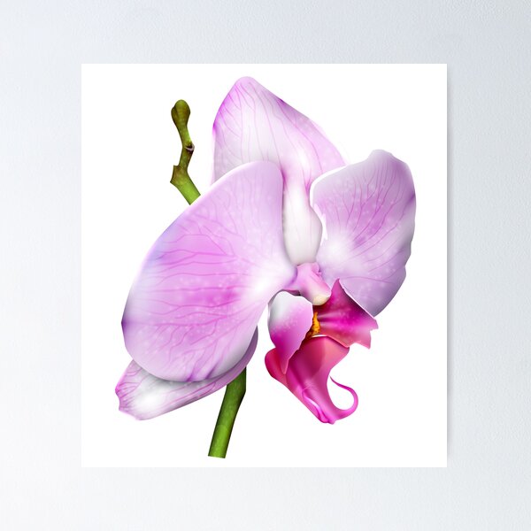 Artikelvorschau, Kirschblüten-Orchidee entworfen und verkauft von Designs By Creation.