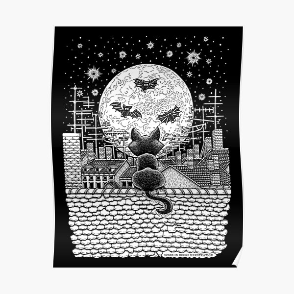 Night Sky Poster