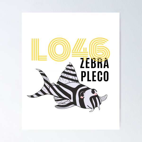 Item preview, L046 Zebra Pleco designed and sold by GFishy.
