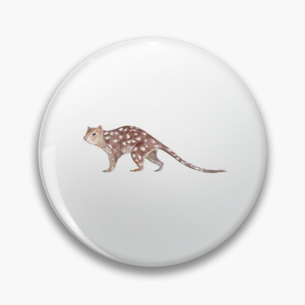 Quoll - Pencil illustration Pin