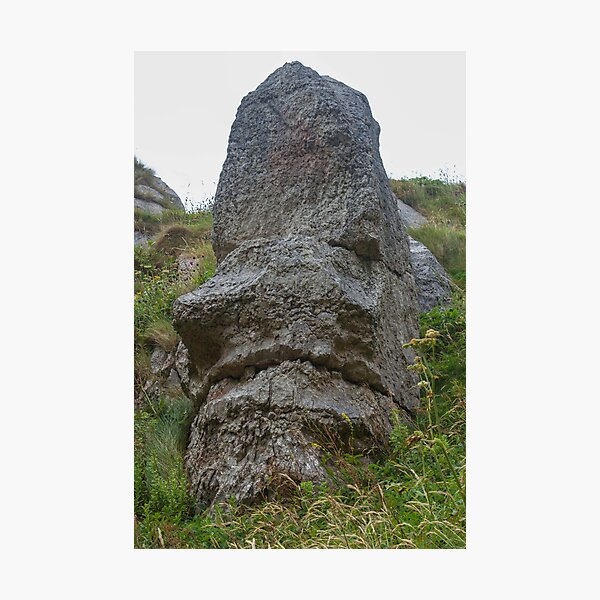 Item preview, Rock shaped into a face designed and sold by Jenny Burrows.
