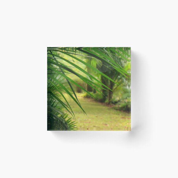 Item preview, Footpath designed and sold by Gaspar Avila.