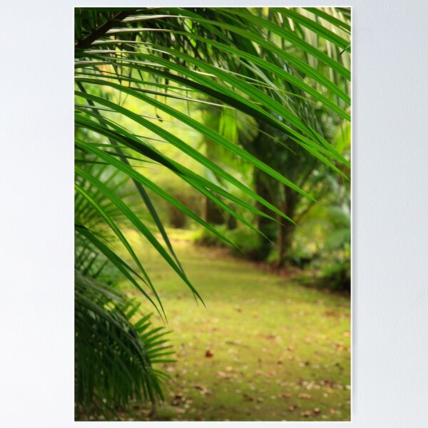 Item preview, Footpath designed and sold by Gaspar Avila.