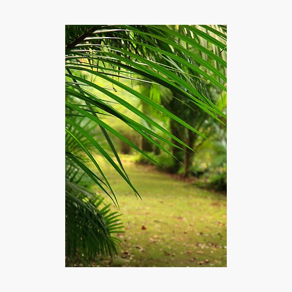 Item preview, Footpath designed and sold by Gaspar Avila.