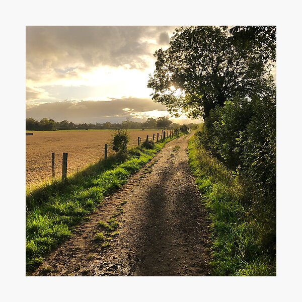 Item preview, Country Path designed and sold by Danny Cazzato.