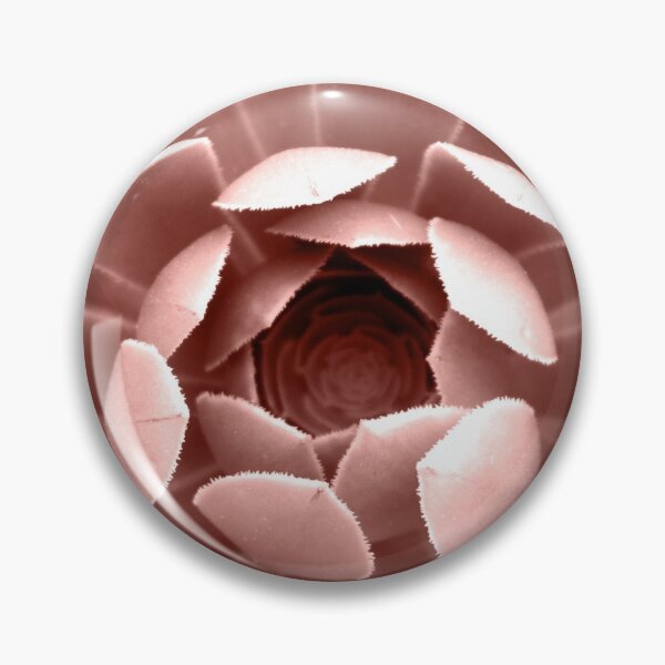 Item preview, Planta suculenta rosa rubor, cactus de cerca designed and sold by PrintsProject.