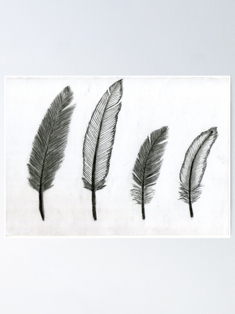 FREE 7+ Feather Drawings in AI