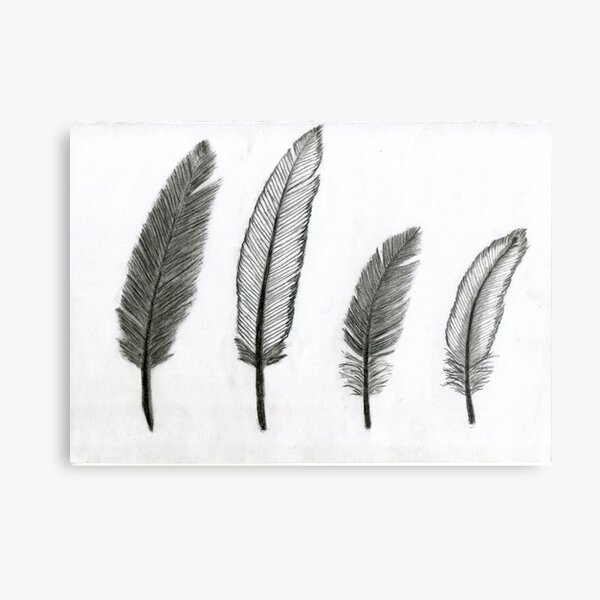 Item preview, Realistic Bird Feathers Drawing Art - Black and White designed and sold by AFDrawingcom.