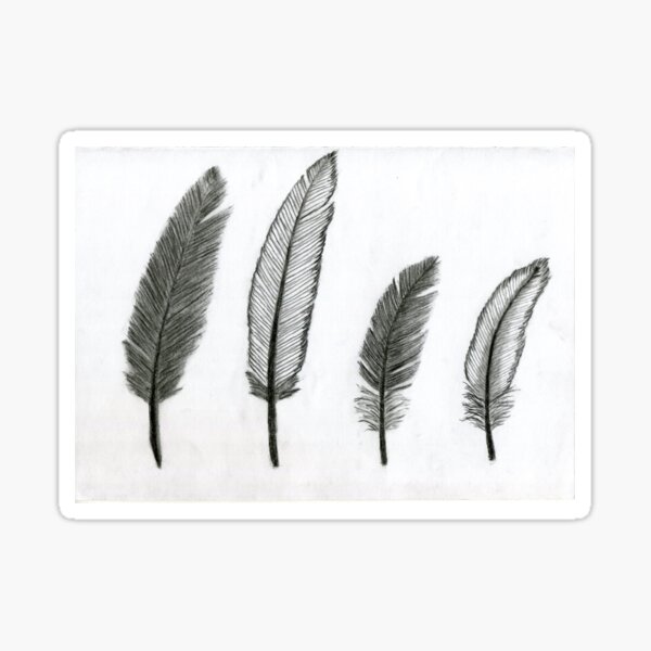 Realistic Bird Feathers Drawing Art - Black and White Sticker