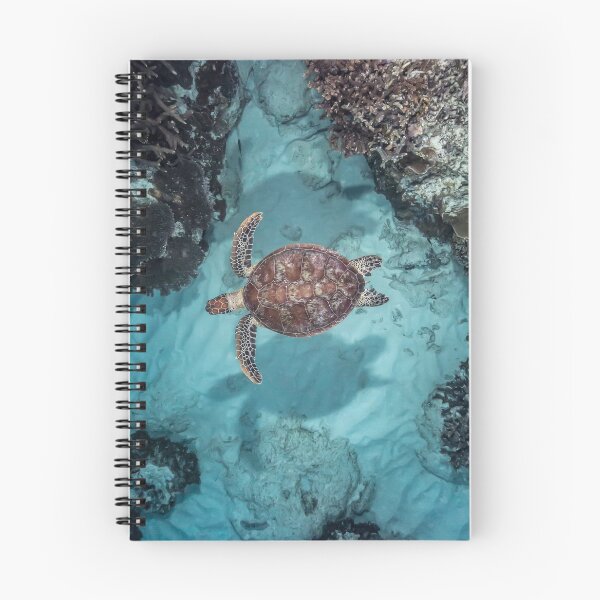 Item preview, A Turtle below designed and sold by Islandjems.
