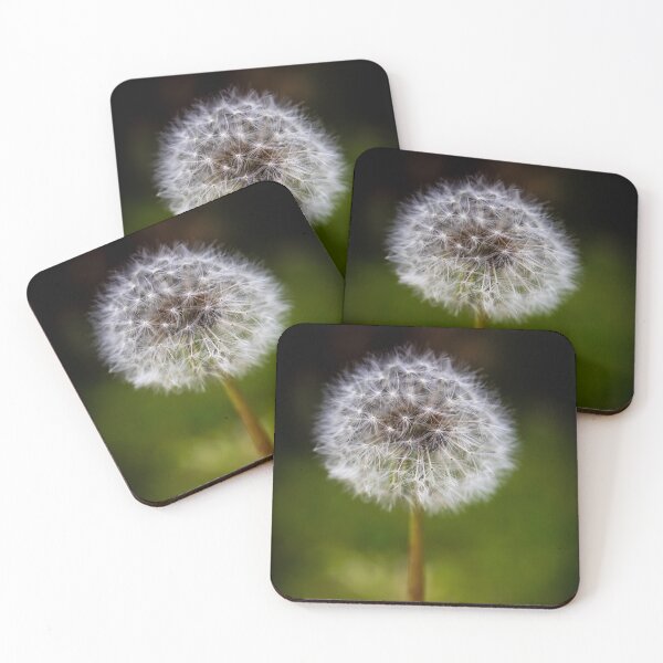 Item preview, Dandelion, Ivanhoe, Victoria, Australia designed and sold by Vicki Walsh.