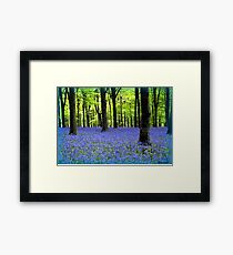Haze Of Blue - Bluebell Wood Dorset Framed Print