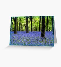 Haze Of Blue - Bluebell Wood Dorset Greeting Card