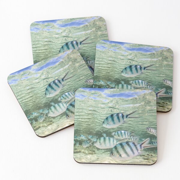 Item preview, Fish swim in the shallows designed and sold by Islandjems.