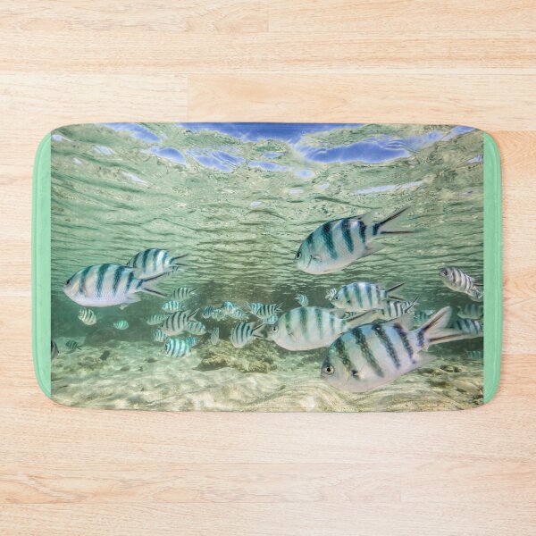 Item preview, Fish swim in the shallows designed and sold by Islandjems.