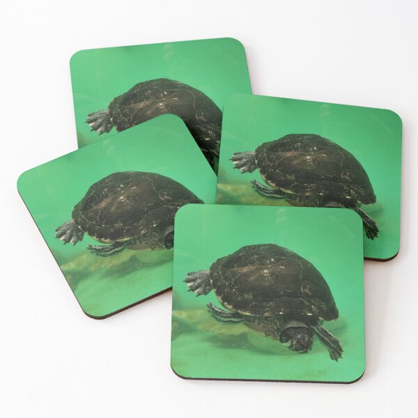 Item preview, Terrapin designed and sold by skuzz91.