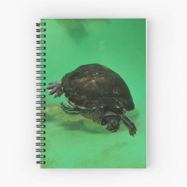Item preview, Tortuga de agua dulce designed and sold by skuzz91.