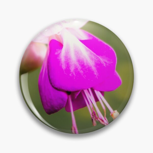 Item preview, Fuschia designed and sold by JEZ22.