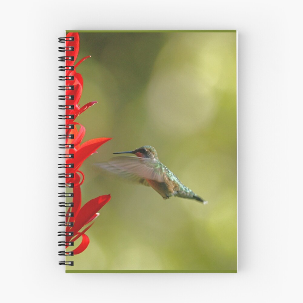 Item preview, Spiral Notebook designed and sold by egdc211.