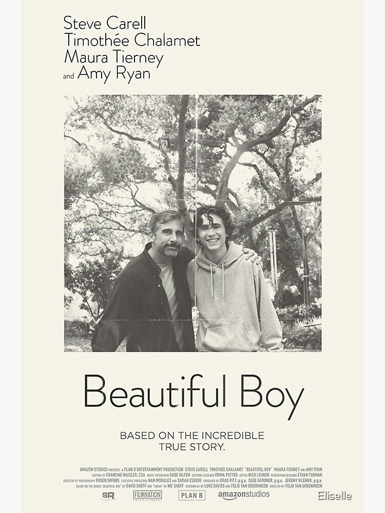 Beautiful Boy Movie Poster | Canvas Print