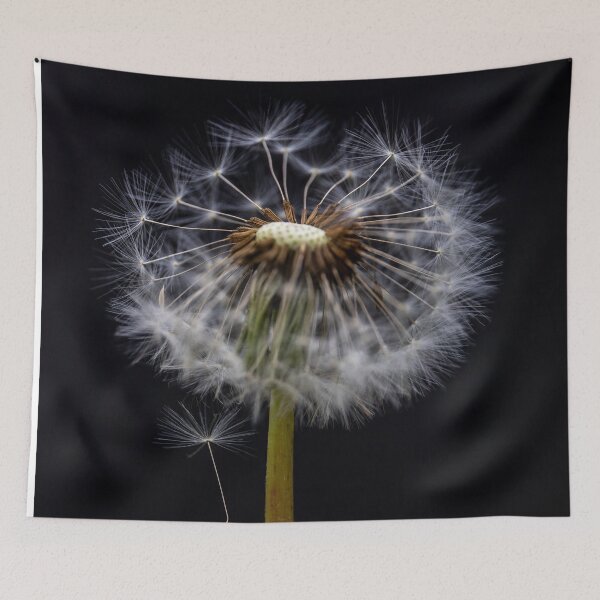Item preview, Make a Wish, Dandelion, Ivanhoe, Victoria, Australia designed and sold by Vicki Walsh.