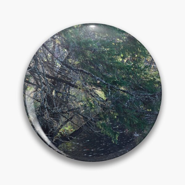 Item preview, Tree by the lake. Upper Ritajarvi designed and sold by Jouko Lehto Photography.