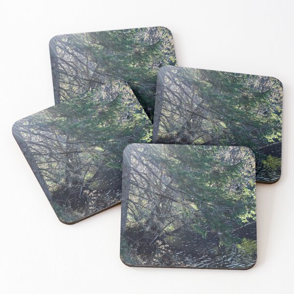 Item preview, Tree by the lake. Upper Ritajarvi designed and sold by Jouko Lehto Photography.