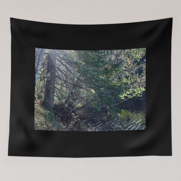Item preview, Tree by the lake. Upper Ritajarvi designed and sold by Jouko Lehto Photography.