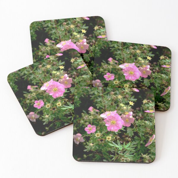 Item preview, Sweet Briar Rose  designed and sold by BritishYank.