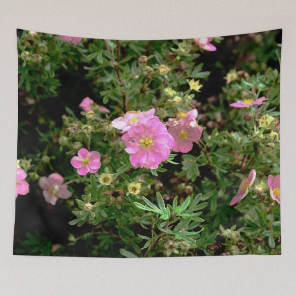 Item preview, Sweet Briar Rose  designed and sold by BritishYank.