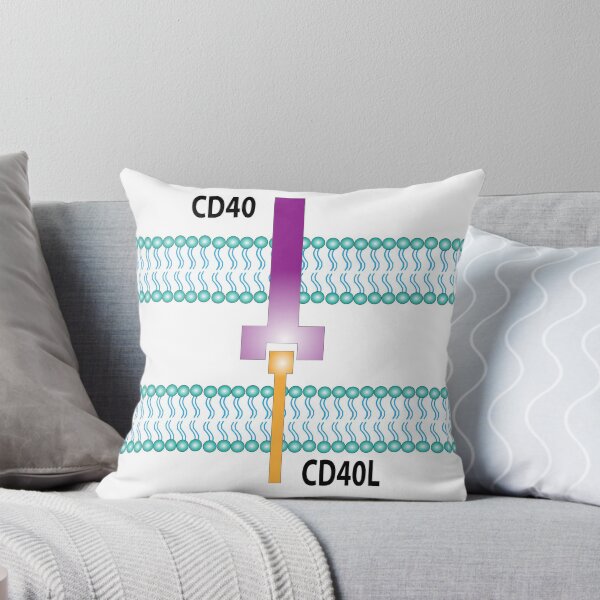 Item preview, CD40 Receptor designed and sold by Green Star Shop.