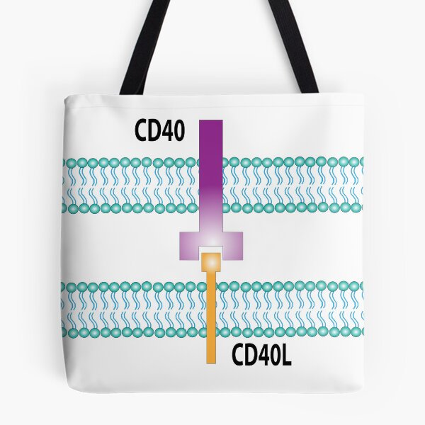 Item preview, CD40 Receptor designed and sold by Green Star Shop.