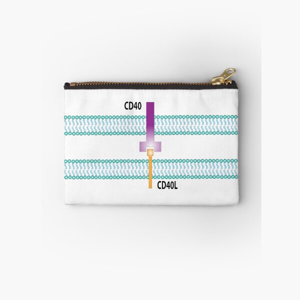 Item preview, CD40 Receptor designed and sold by Green Star Shop.