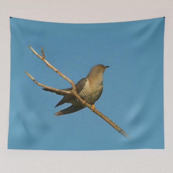 Item preview, Cuckoo designed and sold by Guardi71.