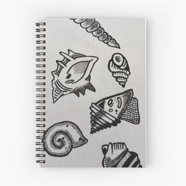 Item preview, Shell collector designed and sold by TaliceMay.