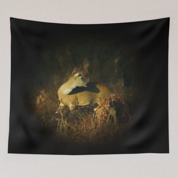 Item preview, Doe designed and sold by Guardi71.