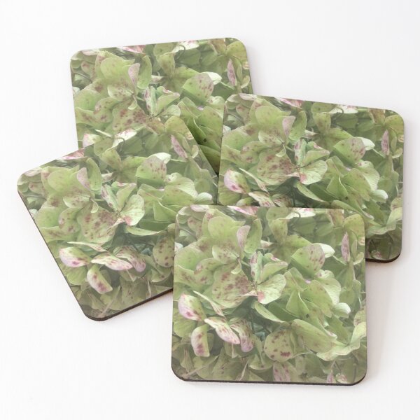 Item preview, Beautiful Hydrangea Spotted Flower designed and sold by MissVania Speaks.