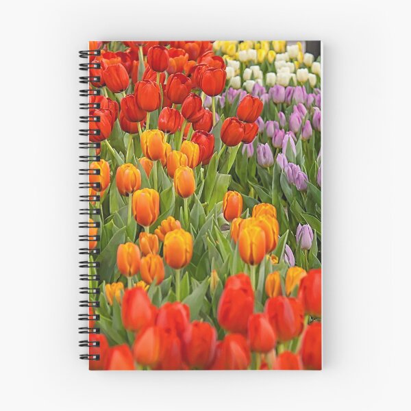Item preview, USA. Philadelphia Flower Show 2020. Field of Tulips. designed and sold by vadim19.