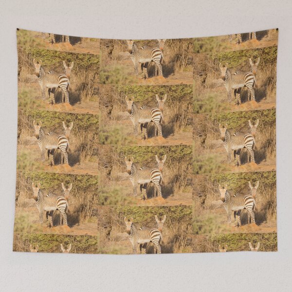 Item preview, Young Hartmann's Mountain Zebras (Equus zebra hartmannae) designed and sold by Yair Karelic.