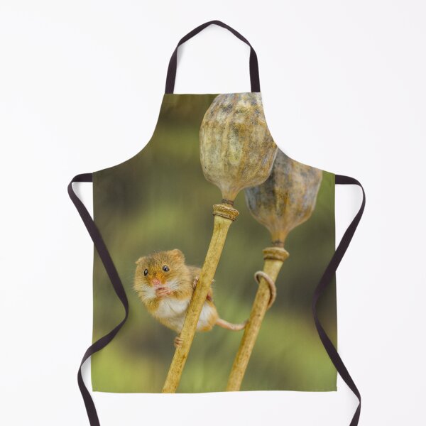 Item preview, Acrobatic Mouse designed and sold by Jane Stanley Photography.