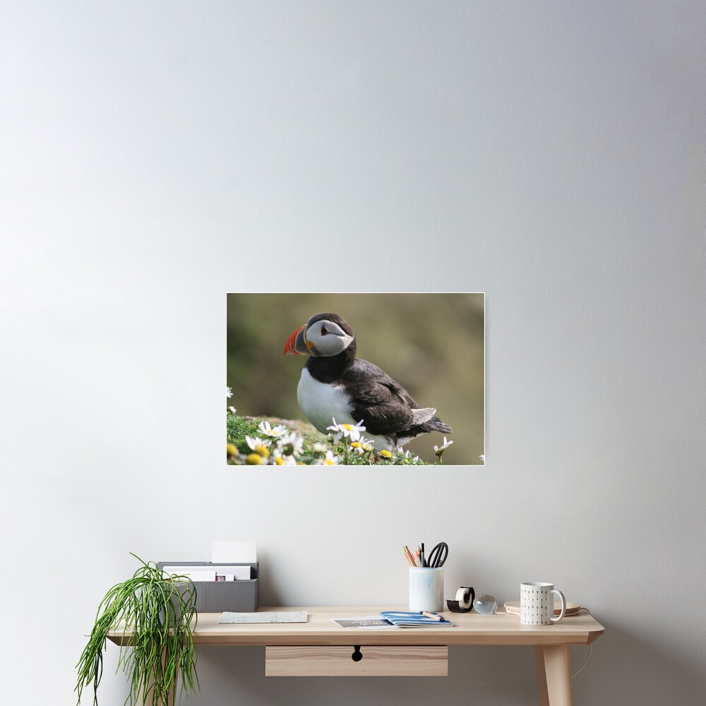 Item preview, Poster designed and sold by orcadia.