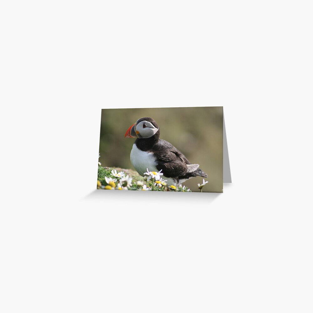 Item preview, Greeting Card designed and sold by orcadia.