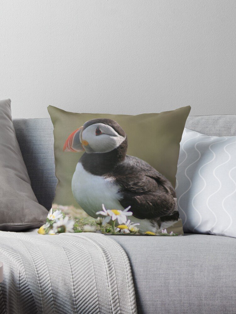 Thumbnail 1 of 4, Pillow, Sumburgh puffin designed and sold by orcadia.