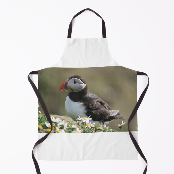 Aperçu de l'œuvre Sumburgh puffin créée et vendue par Fiona MacNab.