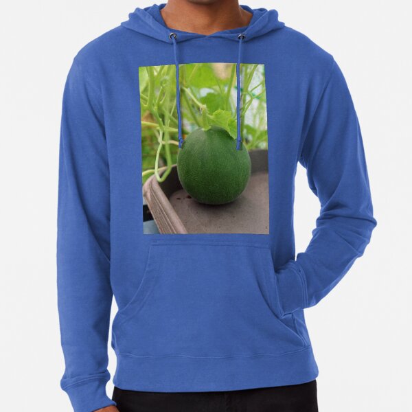 cantaloupe melon Lightweight Hoodie