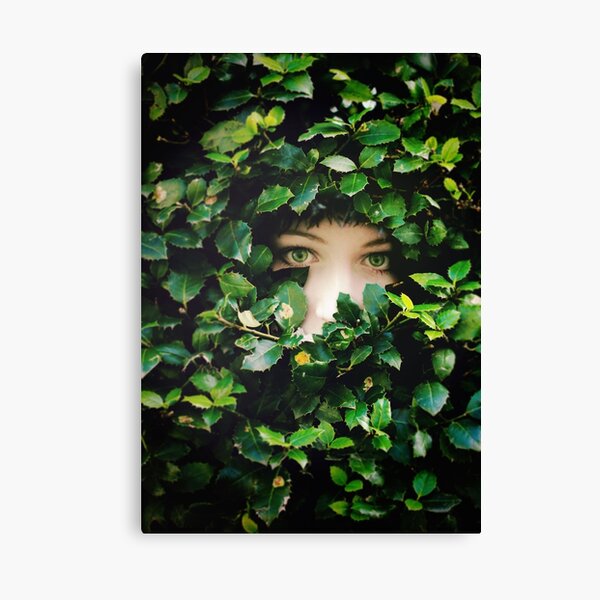Hide and Seek Canvas Print