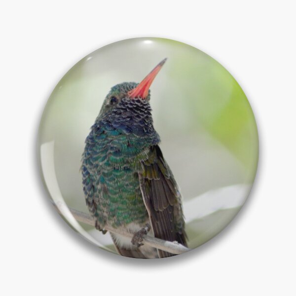 Item preview, Green Hummingbird designed and sold by Drgnfly4free.
