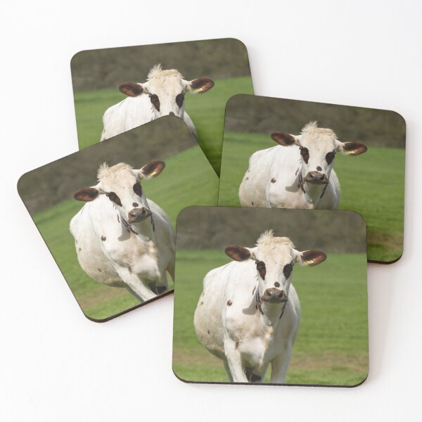 Item preview, Ayrshire Cow designed and sold by Jane Stanley Photography.